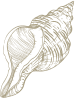 Decorative Icon